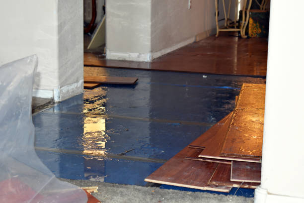 Professional Basement Flood Cleanup technician working in Port Chester, NY